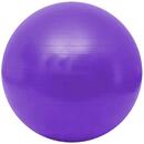 Fitlopta Gymy Ball - fialová (55 - 65 cm)