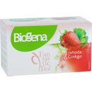 Biogena Fantastic Tea Jahoda a Ginko, 20x 2,5 g