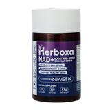 Herboxa NAD+, 60 kapsúl