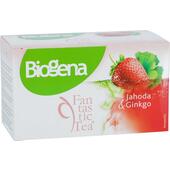 Biogena Fantastic Tea Jahoda a Ginko 20x 2,5 g