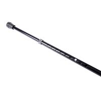 Vychádzková palica s osvetlením