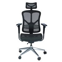 Ergonomická stolička Business, sivá