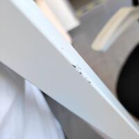 Podlahový stojan k biolampe Bioptron PRO 1 - POŠKRIABANÝ