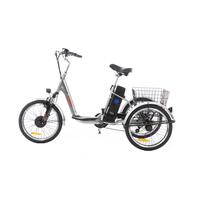 Trojkolesový elektrický bicykel Tornádo ZTECH, strieborný