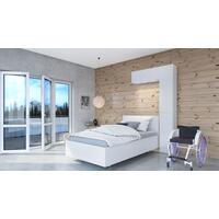 Stropný zdvihák INTEGRALIFT