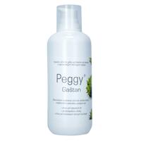 Masážny gél PEGGY Gaštan s dávkovačom, 500 g