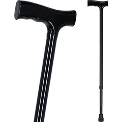 Vychádzková palica