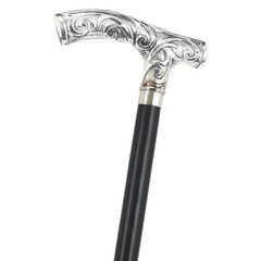 Pochromovaná vychádzková palica