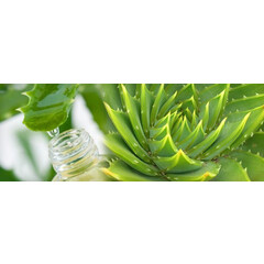 Virde Aloe vera gél borievka a rakytník 500ml