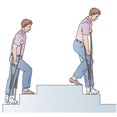 Drevená podpazušná barla - extra veľká (132 - 146 cm)