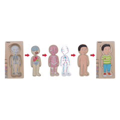 Edukačné puzzle Hádanka tela Chlapec od Beleduc