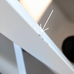 Podlahový stojan k biolampe Bioptron PRO 1 (Používaný kus)