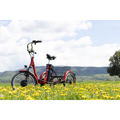 Trojkolesový elektrický bicykel Tornádo ZTECH, červený (Používaný kus)