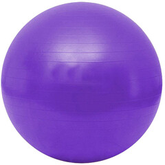 Fitlopta Gymy Ball - fialová (55 - 65 cm)