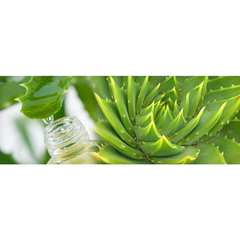 Virde Aloe vera gél borievka a rakytník 500ml