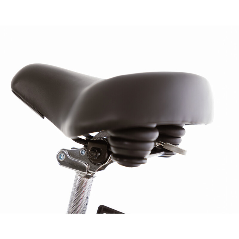 Trojkolesový elektrický bicykel Tornádo ZTECH, čierny